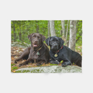 Hunde Welpen Schwarzes Labor Schokolade Labrador R Fleecedecke