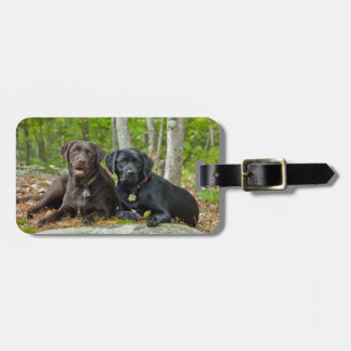 Hunde Welpen Schwarzes Labor Schokolade Labrador R Gepäckanhänger