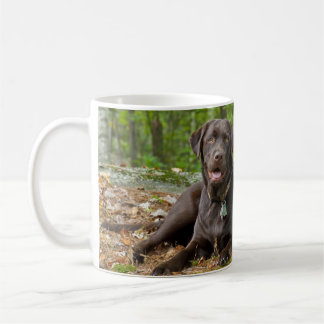 Hunde Welpen Schwarzes Labor Schokolade Labrador R Kaffeetasse
