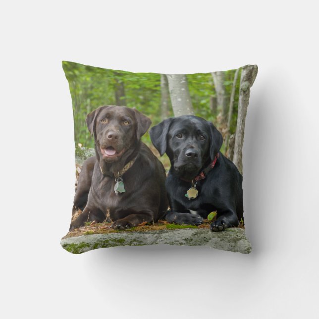 Hunde Welpen Schwarzes Labor Schokolade Labrador R Kissen (Vorderseite)