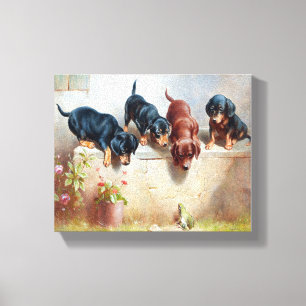 Hunde Welpen Vintage Alte Hunde  Leinwanddruck