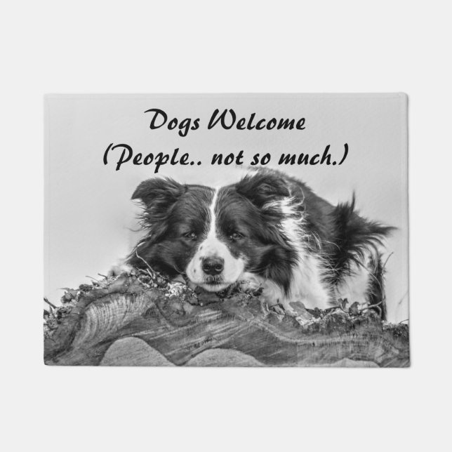 Hunde willkommen Funny Quote Border Collie Fußmatte (Vorderseite)