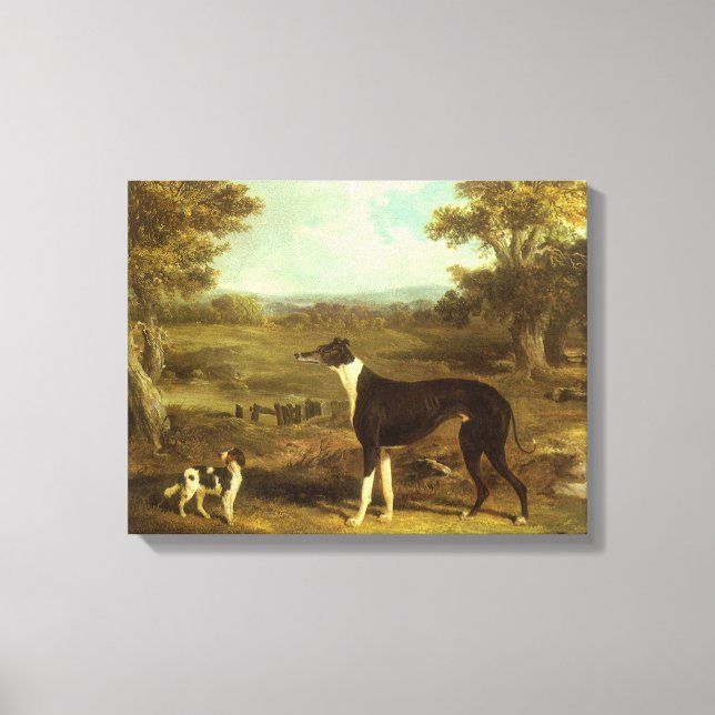 Hunde, Windhund und Spaniel, Doctor Fop by Herring Leinwanddruck (Vorderseite)