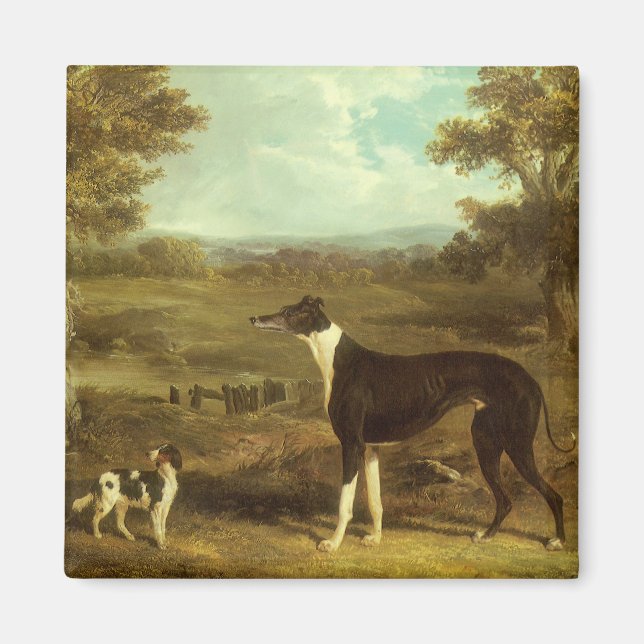 Hunde, Windhund und Spaniel, Doctor Fop by Herring Magnet (Vorne)