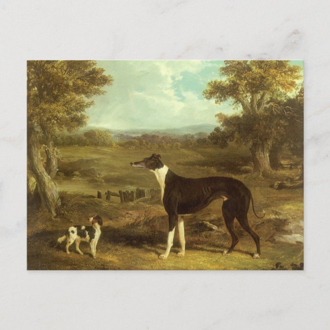 Hunde, Windhund und Spaniel, Doctor Fop by Herring Postkarte (Vorderseite)