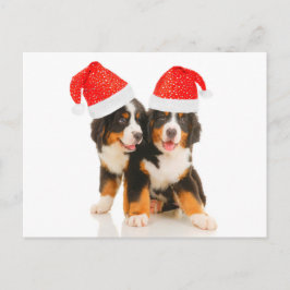 Hunde wünschen frohe Weihnachten