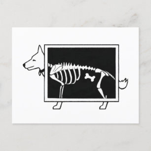 Hunde X-Ray Postkarte