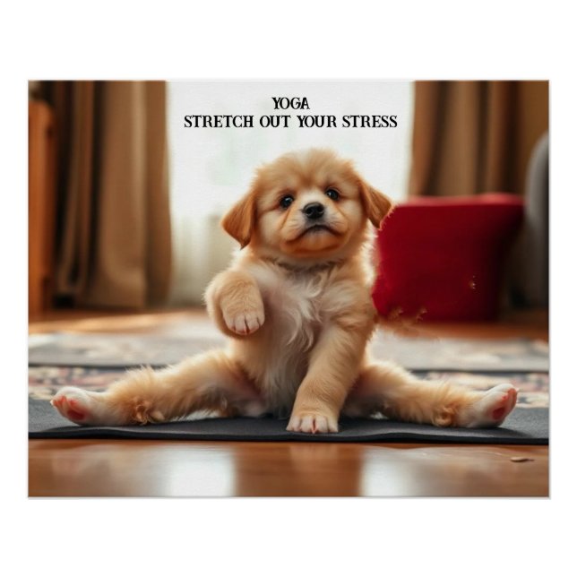 Hunde Yoga Poster (Vorderseite)