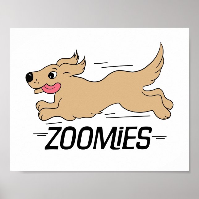 Hunde Zoomies Poster (Vorne)