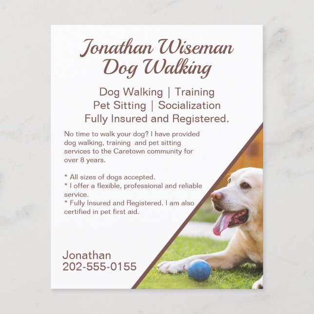 Hunde zu Fuß Haustiere Sitting Business-Werbung Flyer (Vorne)