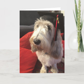 HundeAbschluss-Karte Karte