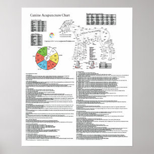 Hundeacupressure-Akupunktur-Diagramm Poster