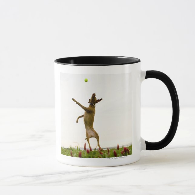 Hundeanziehender Tennisball im mitten in der Luft Tasse (Rechts)
