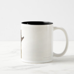 Hundeanziehender Tennisball im mitten in der Luft Zweifarbige Tasse