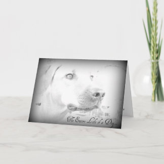 Hundeausfallkarte Karte