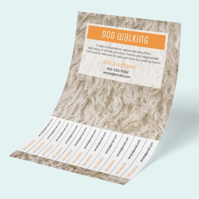 Hundeausführer Flyer Professionell Minimale Papier (Vibrant colorful advetising flyer for dog walking business with tearable tabs with contact info.)