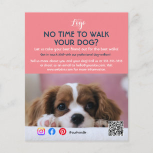 Hundeausführer Haustiersitting Haustierservice Fel Flyer