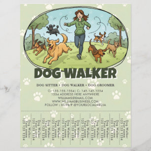 Hundeausführer Hundespazierdienst Custom Flyer