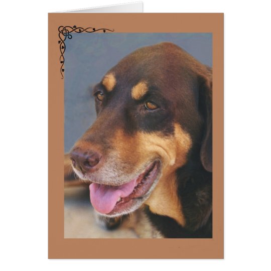 Hundebeileid-Karte Karte