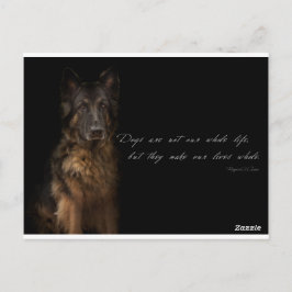 "Hundebeiträge" Postkarte