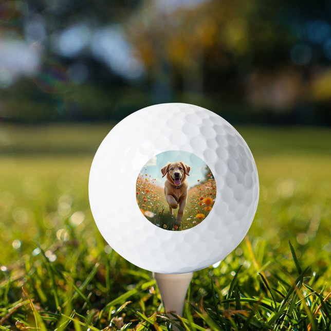 Hundebüt Golfball (Von Creator hochgeladen)