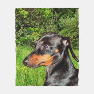 HundeDackel-Dackel Fleecedecke