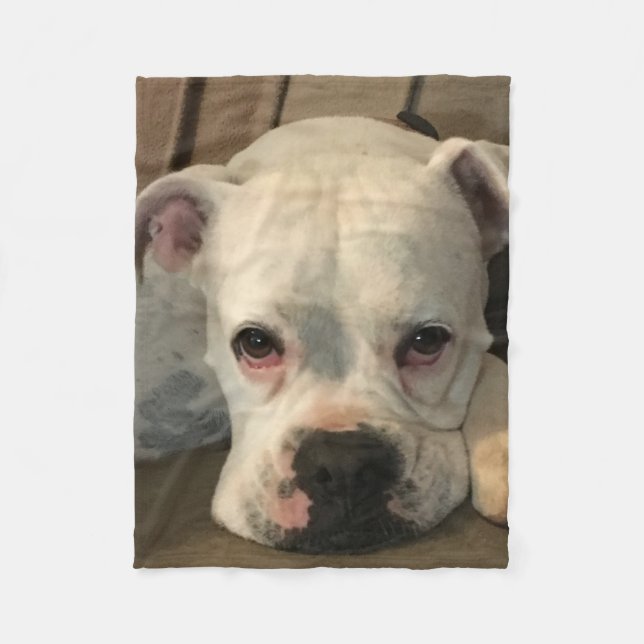 Hundedecke Fleecedecke (Vorderseite)