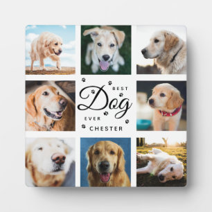 Hundedenkmal-Geschenk Bester Hund Aller Zeiten Mod Fotoplatte