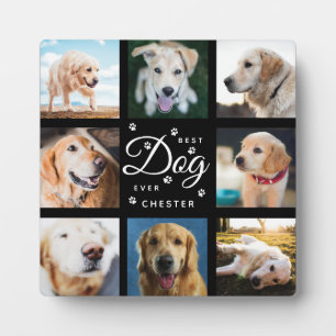 Hundedenkmal-Geschenk Bester Hund Aller Zeiten Rus Fotoplatte