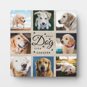 Hundedenkmal-Geschenk Bester Hund Aller Zeiten Rus Fotoplatte