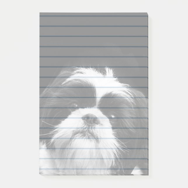 Hundeder post-itanmerkungen 4X6 Shih Tzu Auflage Post-it Klebezettel (Vorderseite)