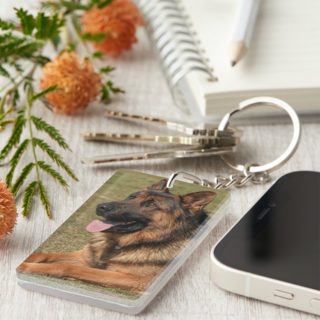 Hundedokumentation und Kostenvoranschlag Schlüsselanhänger (Vorderseite rechts)