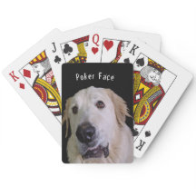 Hundefederrad "Poker Face" spielt Karten