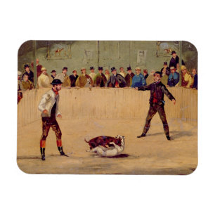HundeFighting (Öl auf Papier) Magnet