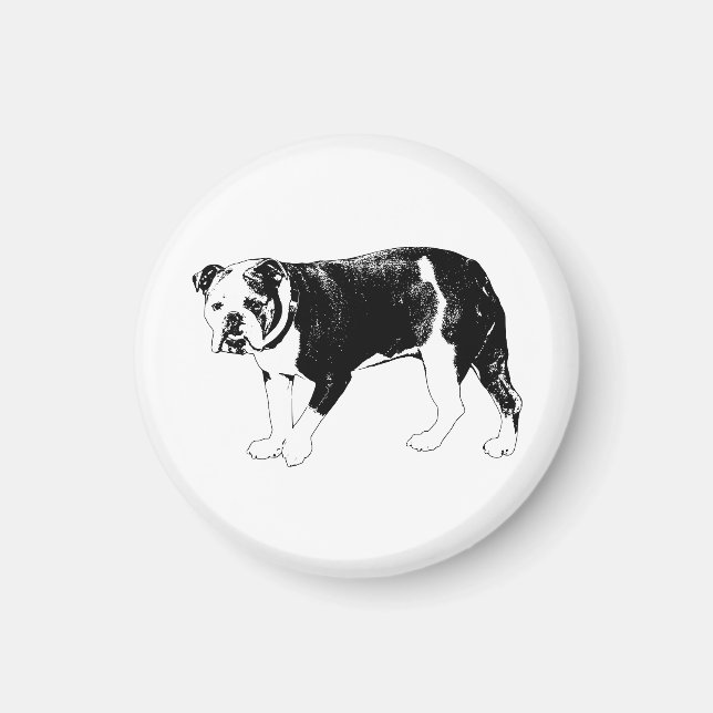 Hundefokus, Vektor-Präzision Magnet (Vorne)