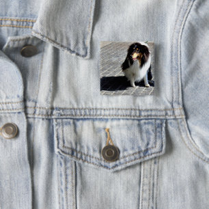 HundeFoto Button