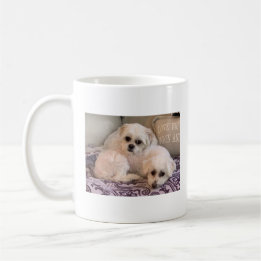 HundeFoto-niedliches maltesisches und Shih Tzu Kaffeetasse