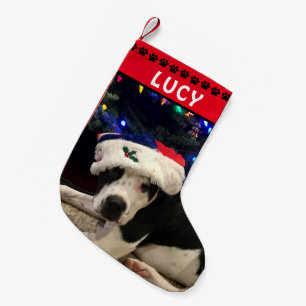 HundeFoto u. nennen   rote schwarze Tatzen-Drucke Kleiner Weihnachtsstrumpf