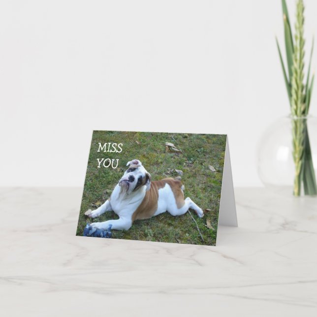 HUNDEfräulein YOU CARD Karte (Vorderseite)