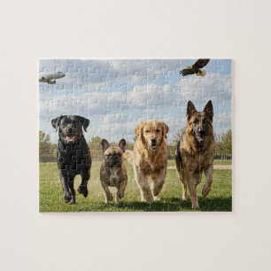 Hundefreunde