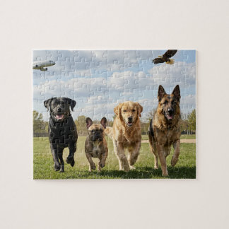 Hundefreunde