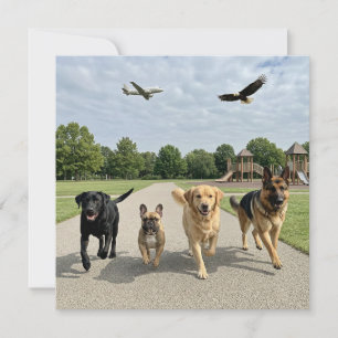 Hundefreunde Einladung