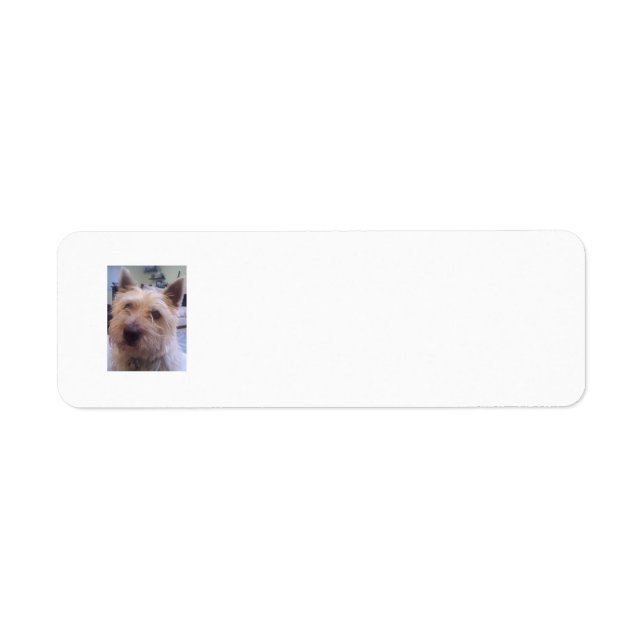 Hundefreunde geben das Adressetikett zurück (Vorne)