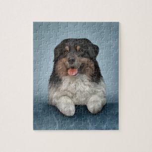 Hundefutter