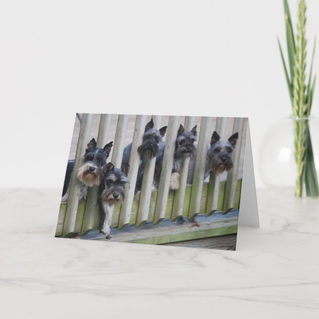 Hundegang Karte (Vorderseite)