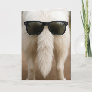Hundegeburtstagsschwanz mit Sonnenbrille Karte