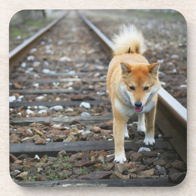 Hundegehende Bahn Untersetzer (Vorderseite)