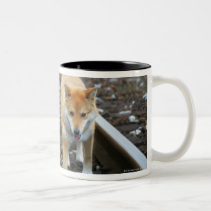 Hundegehende Bahn Zweifarbige Tasse