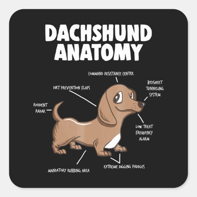 Hundegeschenk | Anatomie Dackel Funny Weiner Quadratischer Aufkleber (Vorderseite)