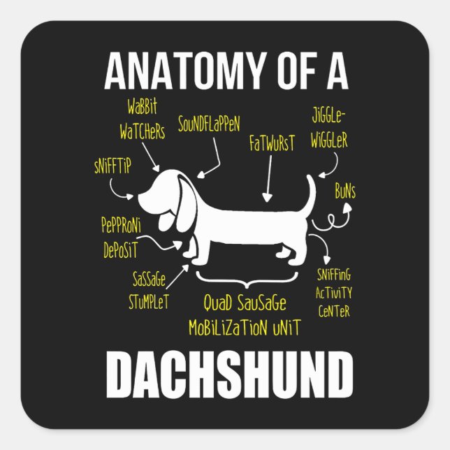 Hundegeschenk | Anatomie der Dackel Quadratischer Aufkleber (Vorderseite)